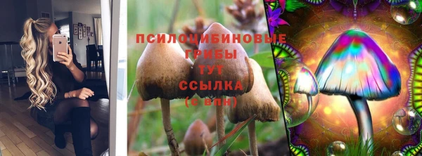 ПСИЛОЦИБИНОВЫЕ ГРИБЫ Нязепетровск