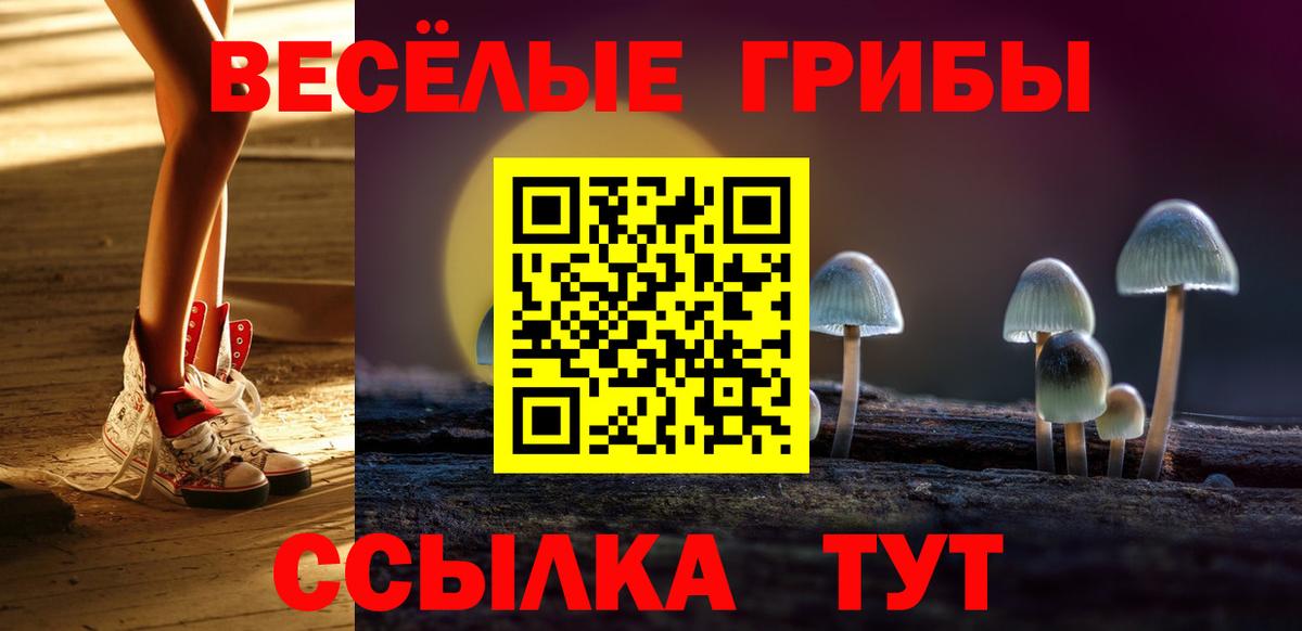 Галлюциногенные грибы прущие грибы Саки